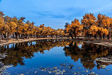 噢耶，黑黑的魂！游戏七日薄：《BLACK SOULS》领衔！